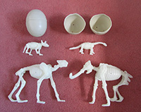 Fossilites